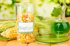 Norwich biofuel availability